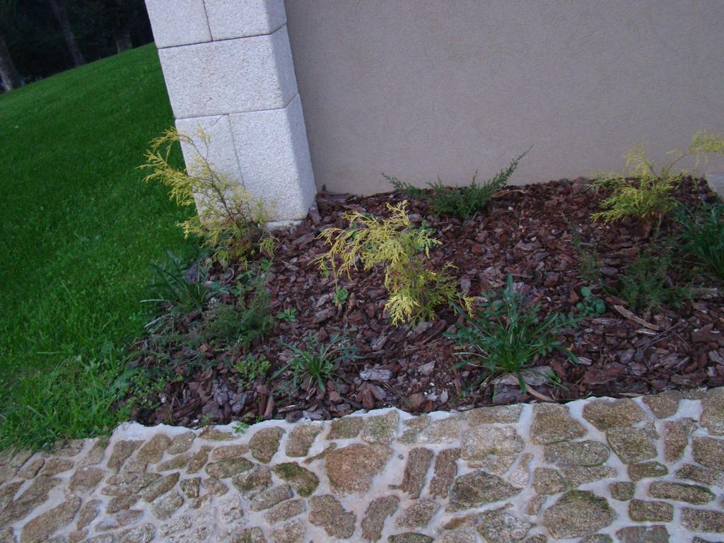 Bosque Da Harmonia Guest House Arco de Baulhe Exterior foto