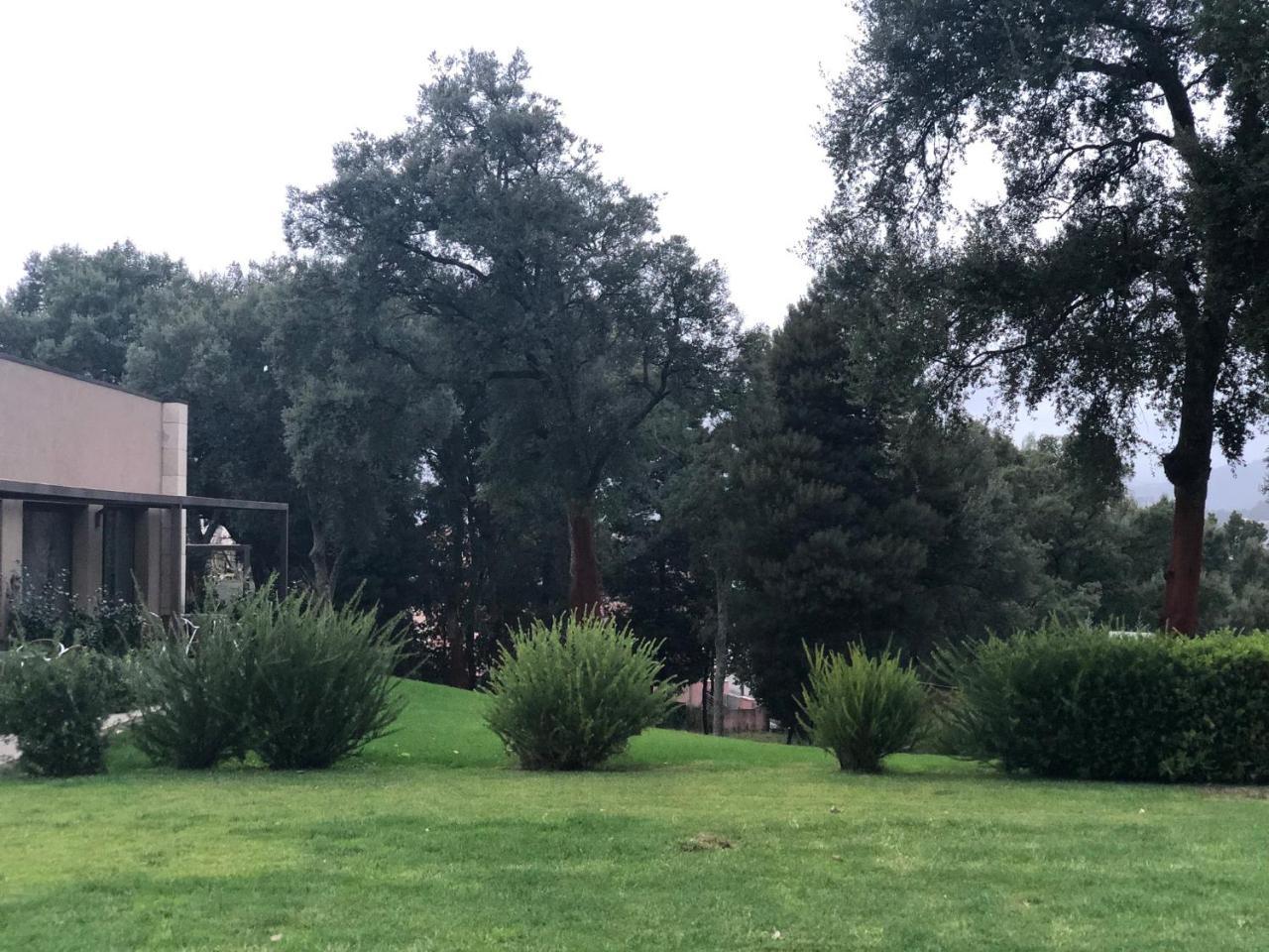 Bosque Da Harmonia Guest House Arco de Baulhe Exterior foto